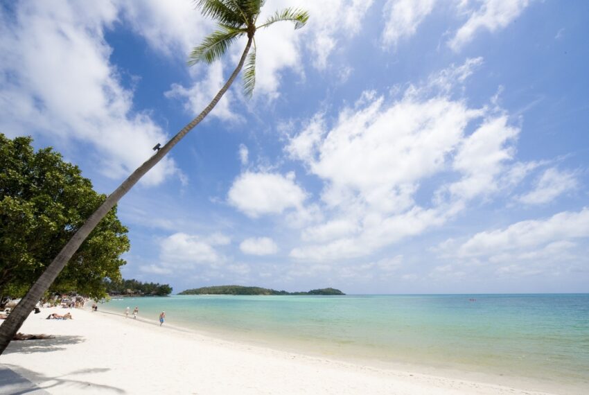 Chaweng Beach on Koh Samui: Detailed Description